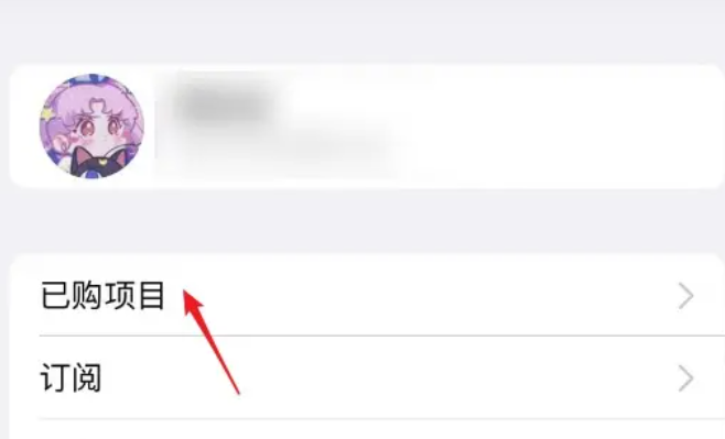 IOS必备技巧丨重新找回,互传分享已下架的软件-彩豆博客
