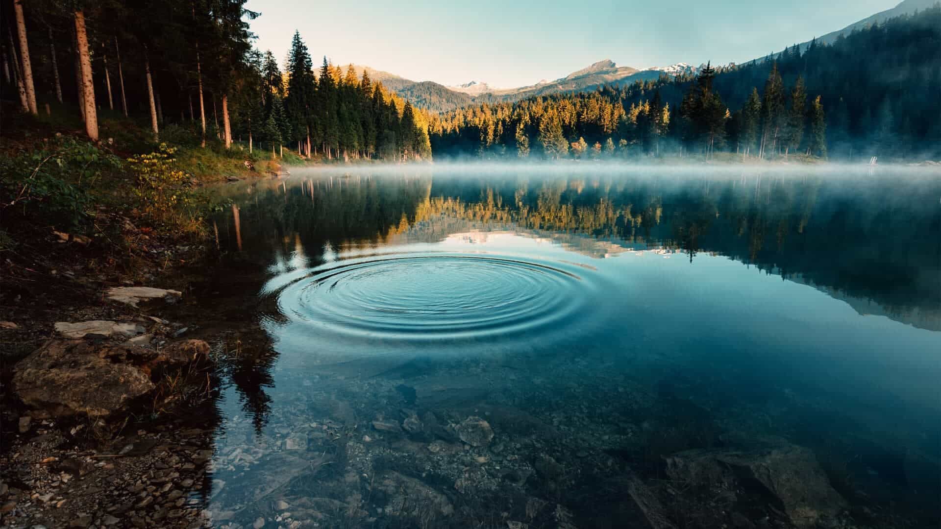 永济黄河蒲津渡水利风景区