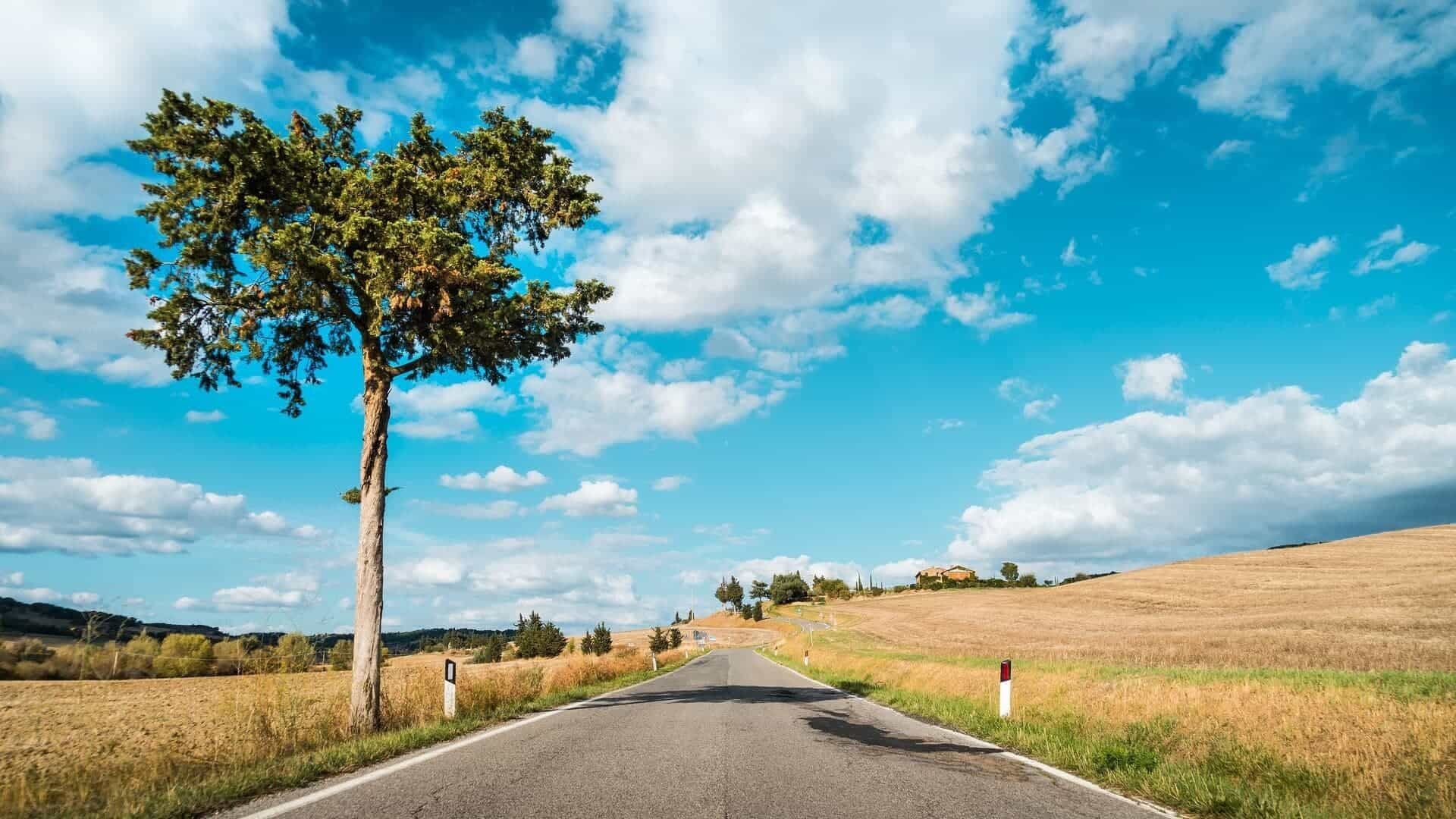 旅行美食推荐全攻略：如何找到地道美味，告别“踩雷”困扰