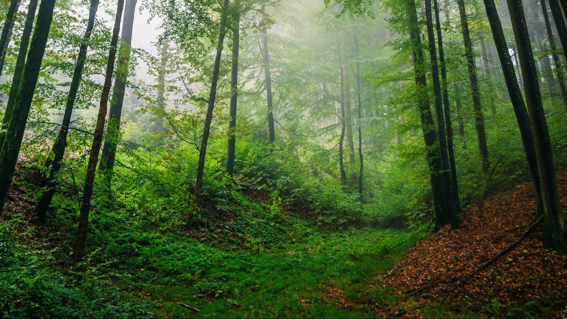 旅游产品是指什么？旅行市场上各类产品的解析