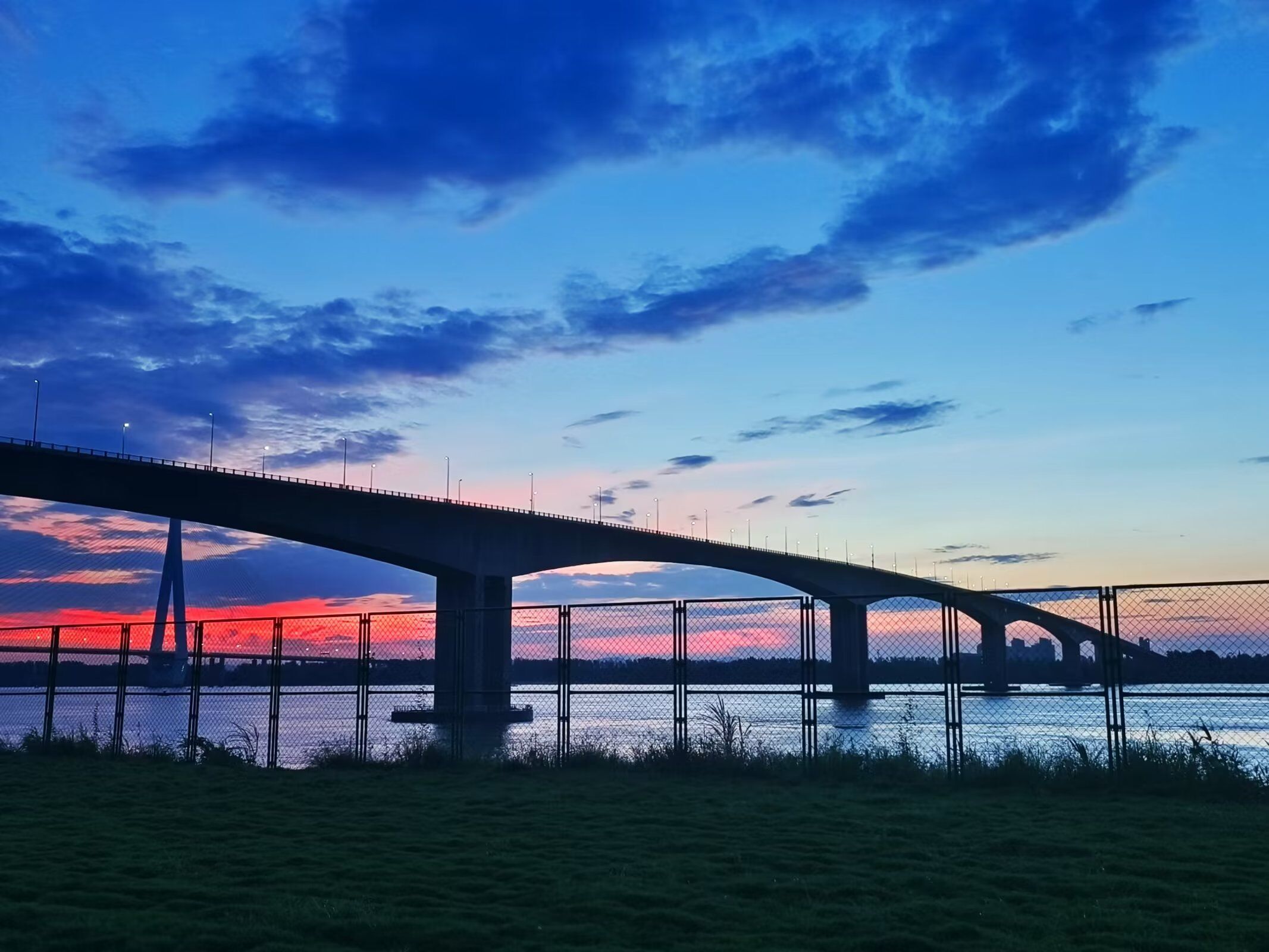 夏日清晨的大桥