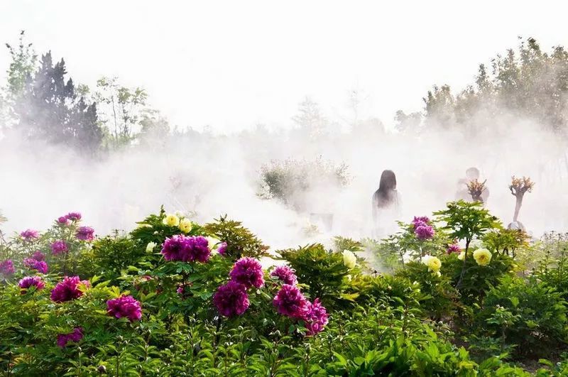 与民同乐通民心 ——读《吉祥寺赏牡丹》