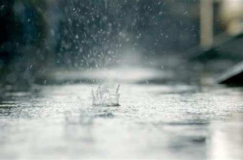 浅谈水分对中国农业的历时性影响