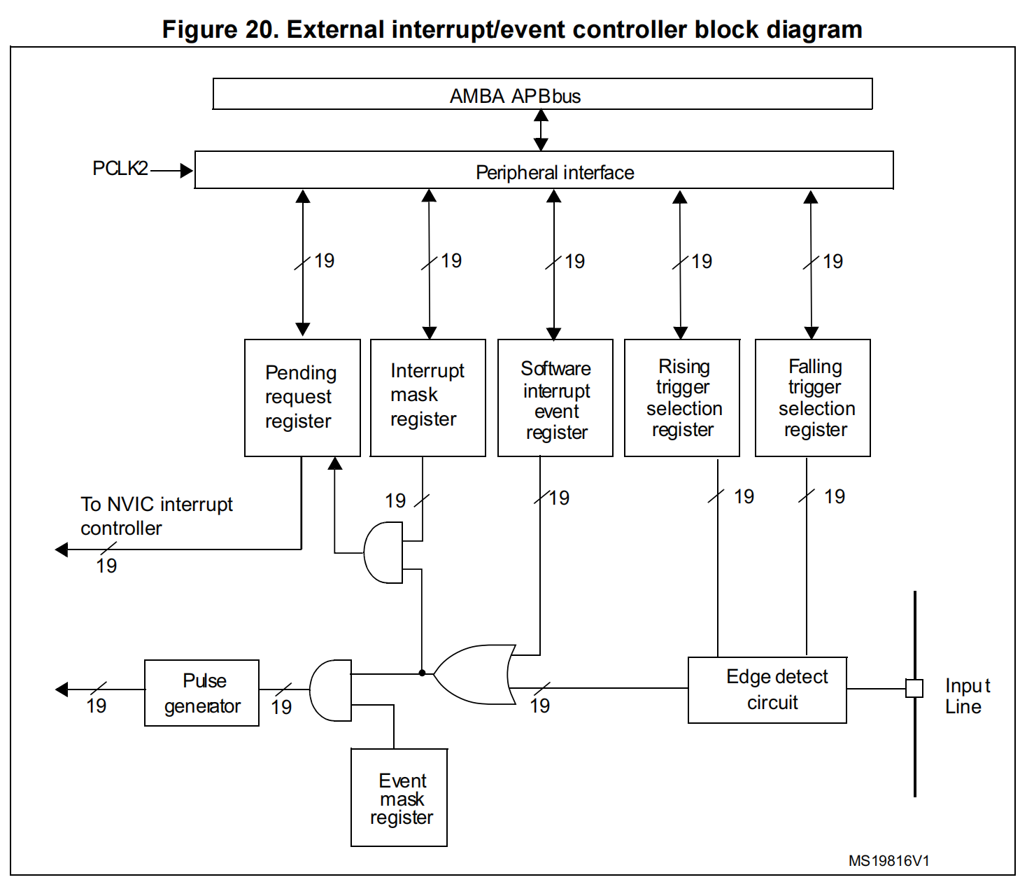 image-20250303223056615