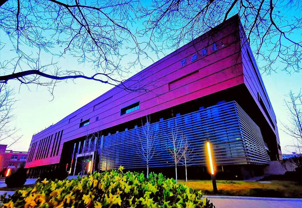 河西网站建设怎么样