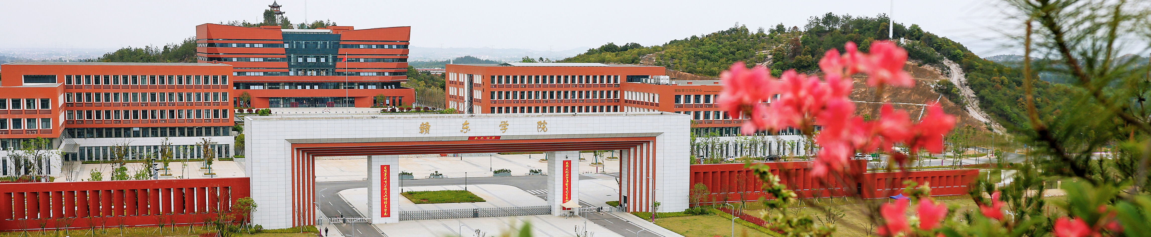 教育机构主机域名怎么看