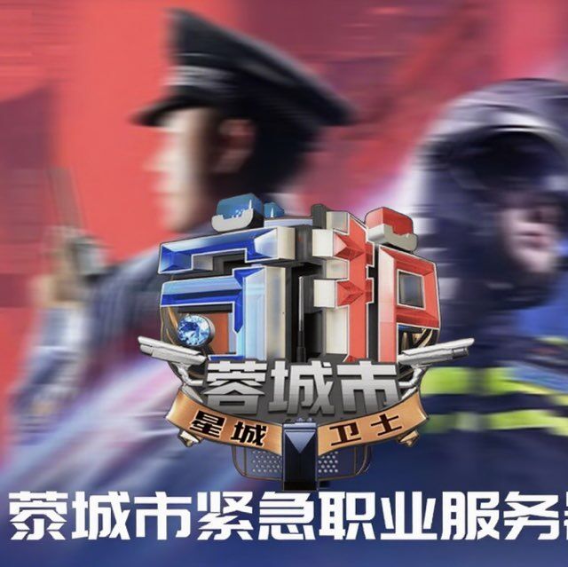 蓉城市公安局局长公开招募公告——诚邀有志之士，共筑平安蓉城
