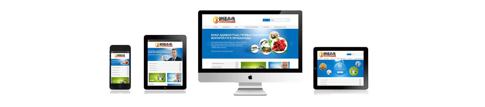 怎么开网站建设公司电话