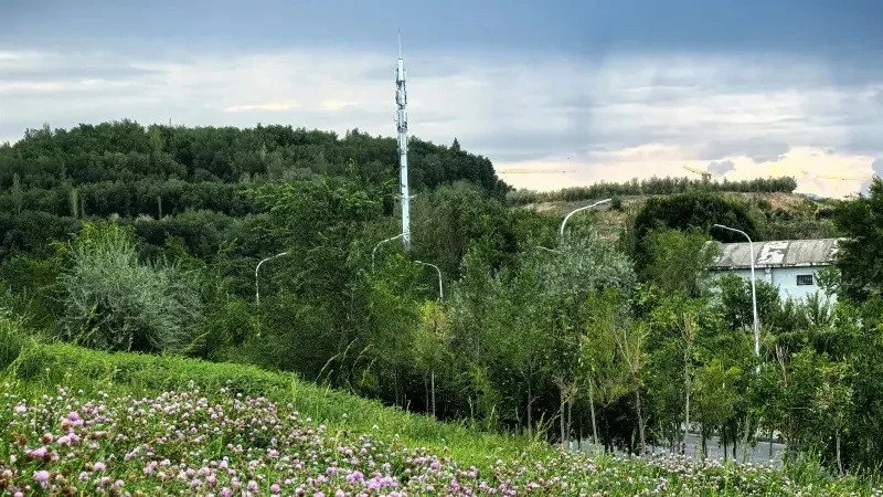 新疆的网站建设怎么样
