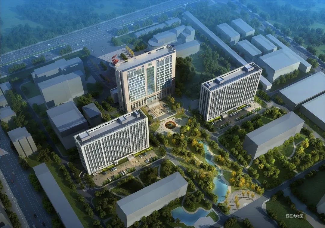 山东高级网站建设怎么样