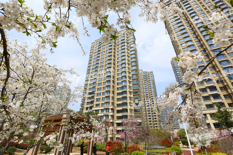 日照公司网站建设怎么样