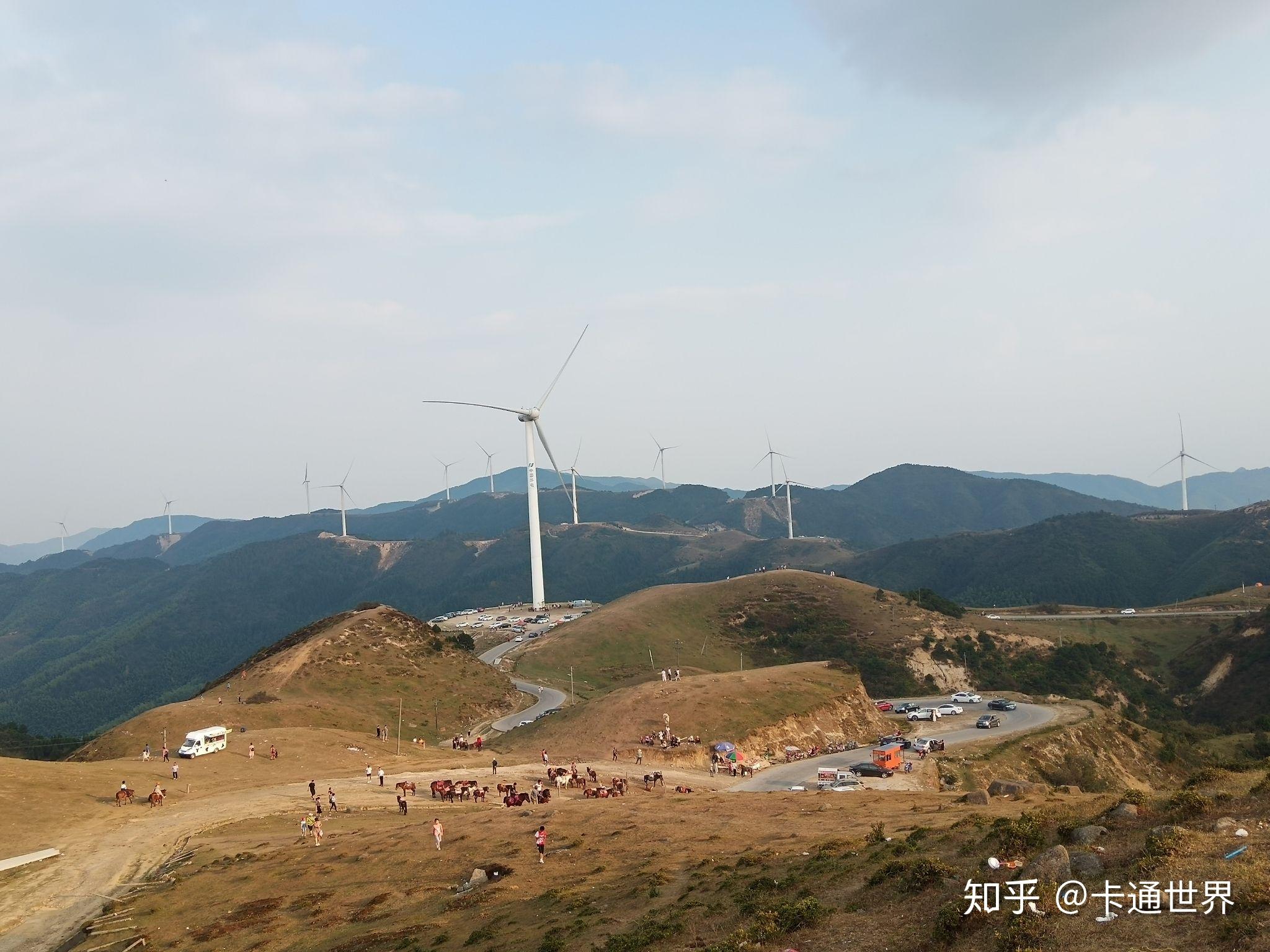 郴州网站建设怎么样啊
