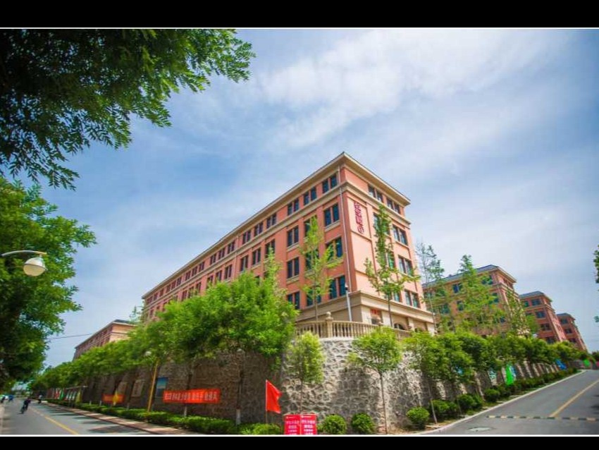 临城网站建设怎么样了