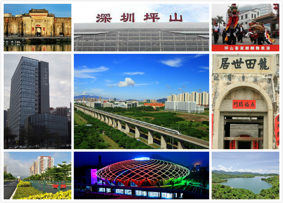 坪山网站建设推广怎么做