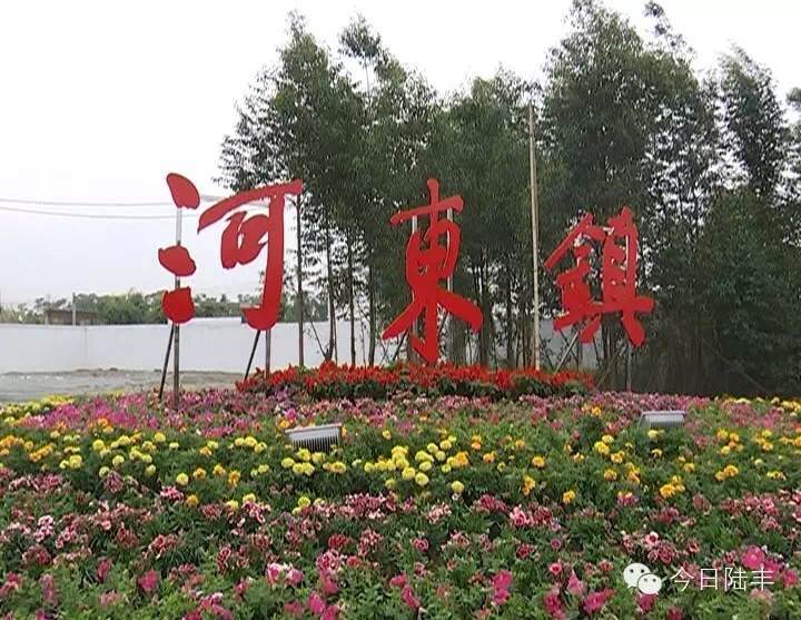 河东区网站建设怎么样