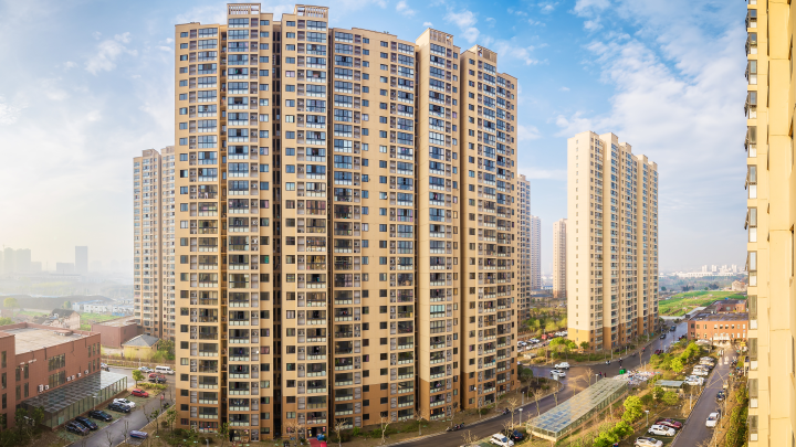 杨浦区网站建设怎么样了