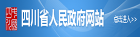 四川省网站建设怎么样