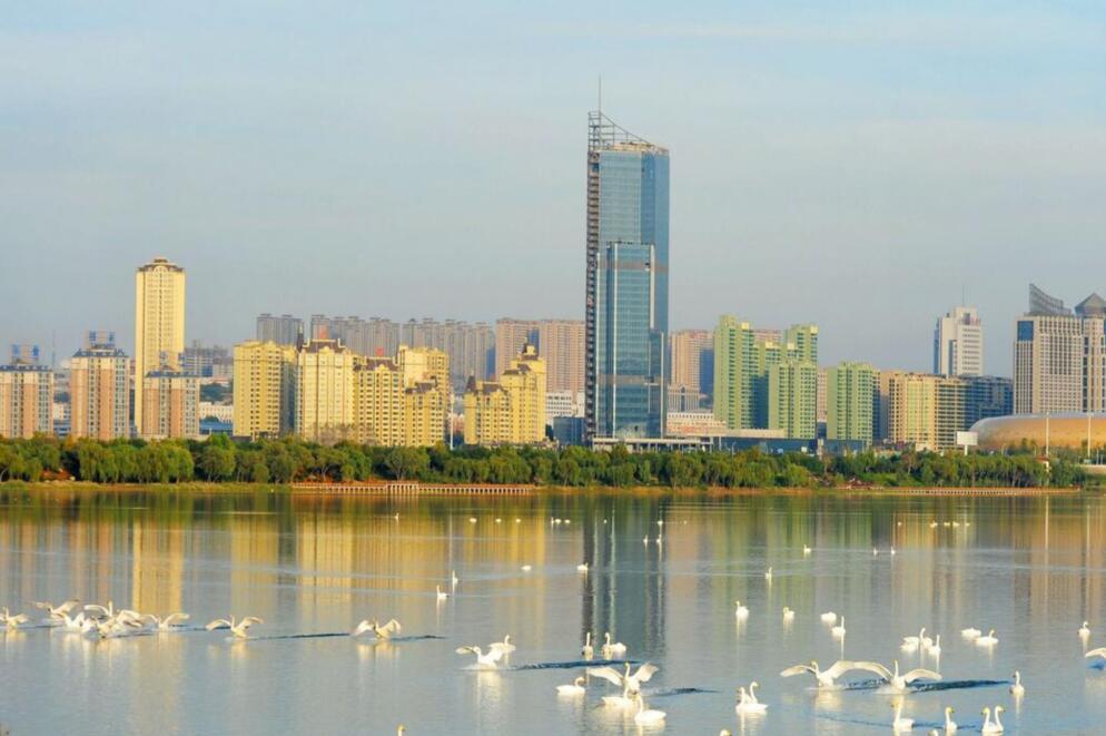 三门峡网站建设怎么样啊