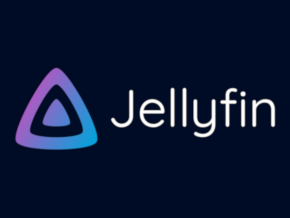 NAS通过docker安装Jellyfin封面图和部分中文字幕变方块的解决方法-心海漪澜